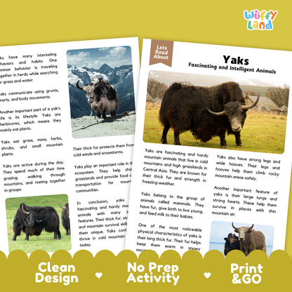 An educational activity sheet titled 'Lets Read About Yaks' from the brand 'Wiffly Land', featuring text, a small color diagram, and a main photo of a yak. The sheet is presented on a white background with a yellow decorative banner at the bottom reading 'Clean Design', 'No Prep Activity', and 'Print & GO'.