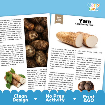 Teacher answer key page showing complete question solutions for yam reading comprehension practice
