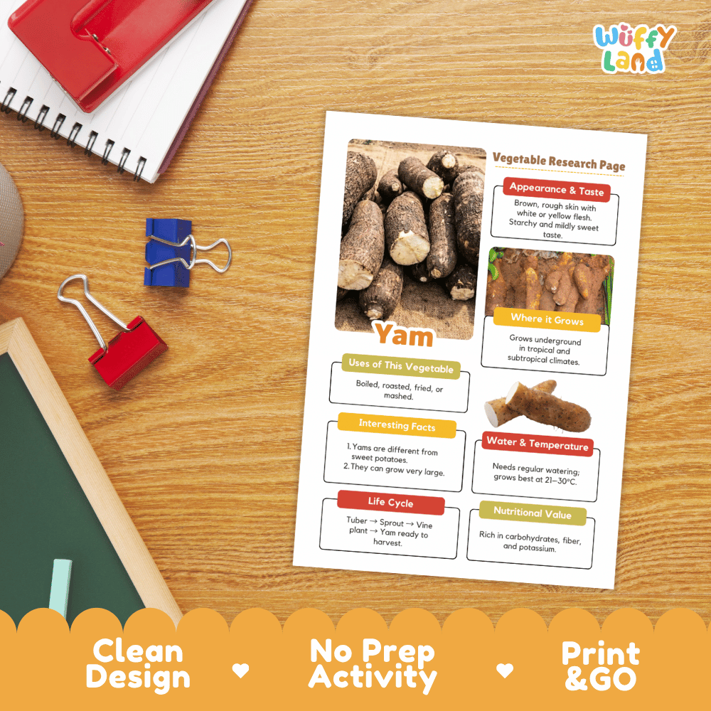 Yam Vegetable Research Page Science Worksheets and Fact Sheet