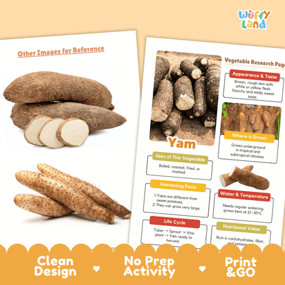 Yam Vegetable Research Page Science Worksheets and Fact Sheet