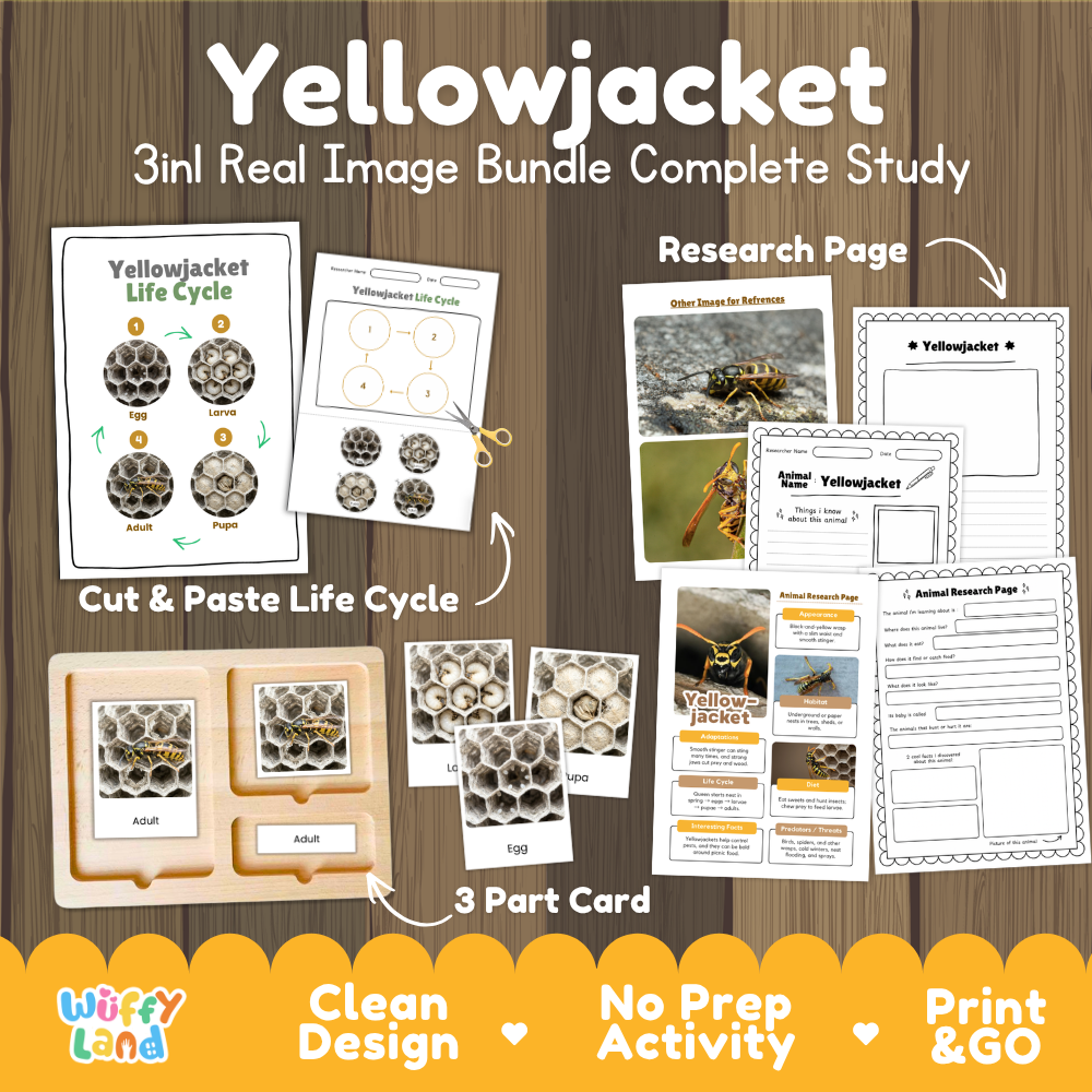 Yellowjacket 3-in-1 real image bundle complete study cover showing cut and paste life cycle, 3 part cards, and research pages