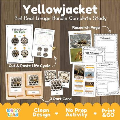 Yellowjacket 3-in-1 real image bundle complete study cover showing cut and paste life cycle, 3 part cards, and research pages