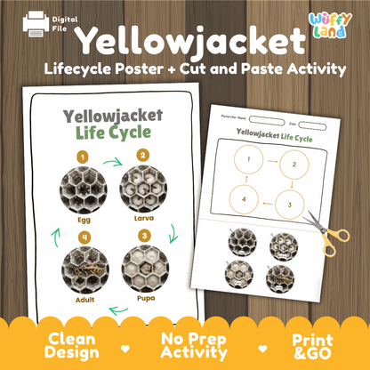 Yellowjacket Life Cycle Poster and Cut and Paste Activity Worksheets