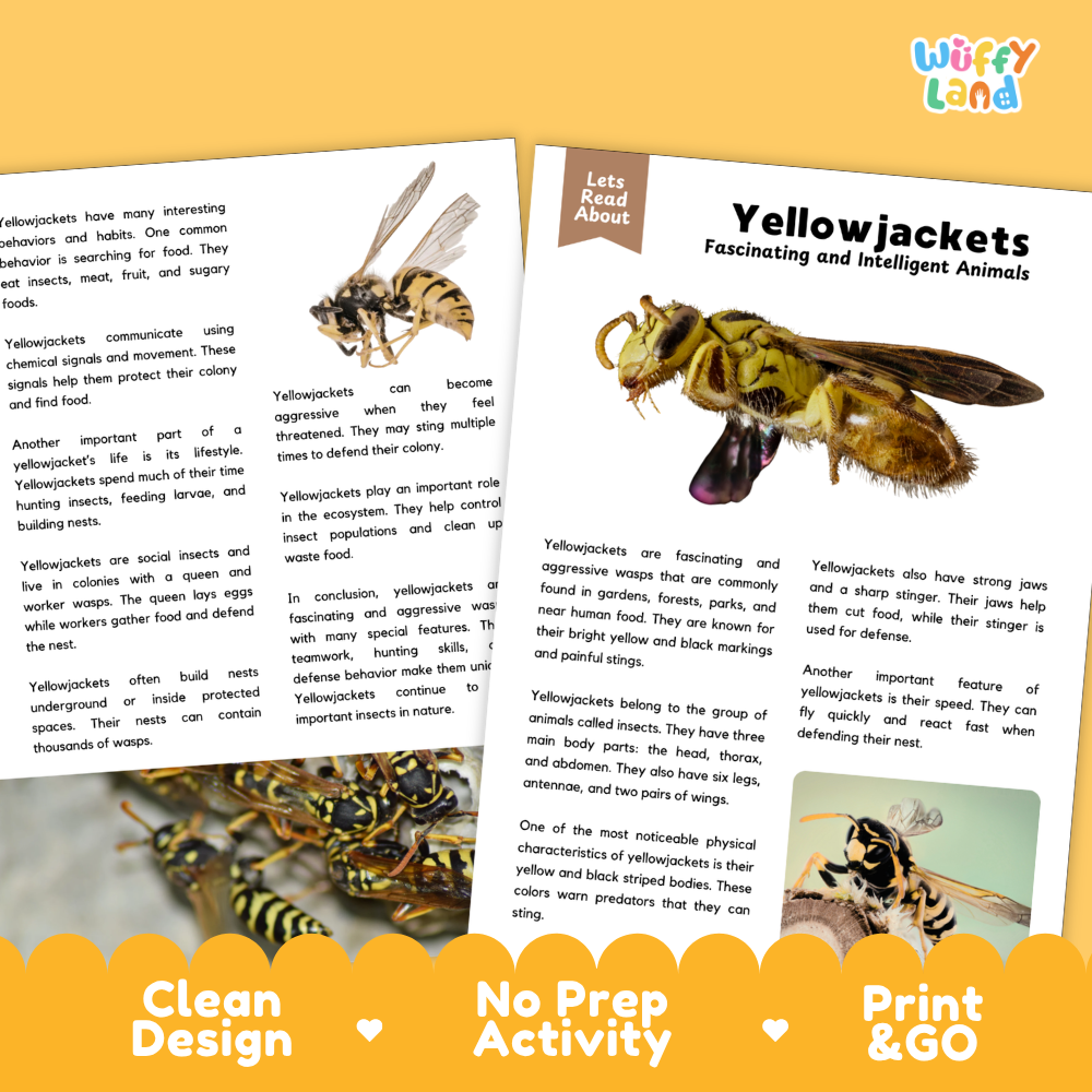 Yellowjackets Reading Passage and Comprehension Questions Worksheets with Answer Key