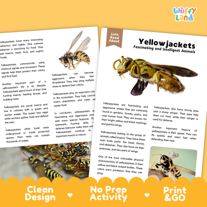 Yellowjackets Reading Passage and Comprehension Questions Worksheets with Answer Key