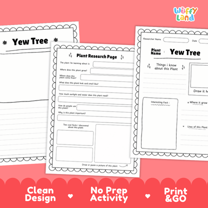Yew Tree Plant Research Page Worksheets and Fact Sheet