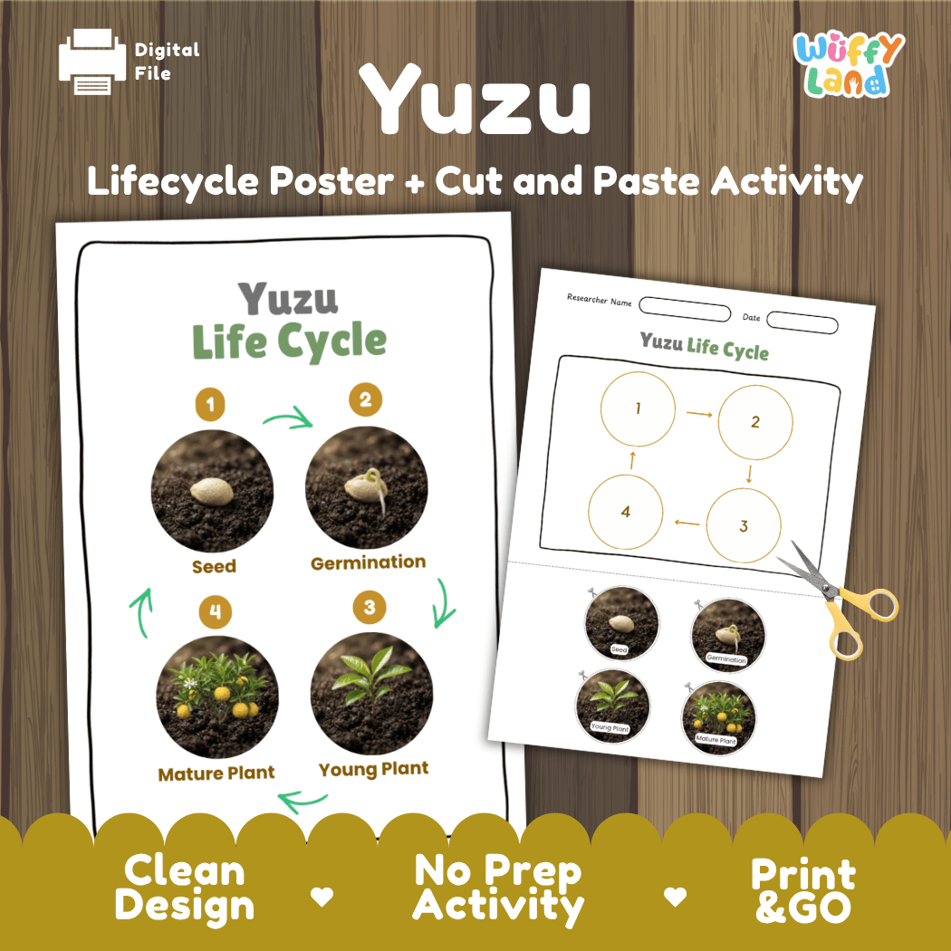 Yuzu plant life cycle educational poster and cut and paste printable sequencing activity featuring real photos for elementary science