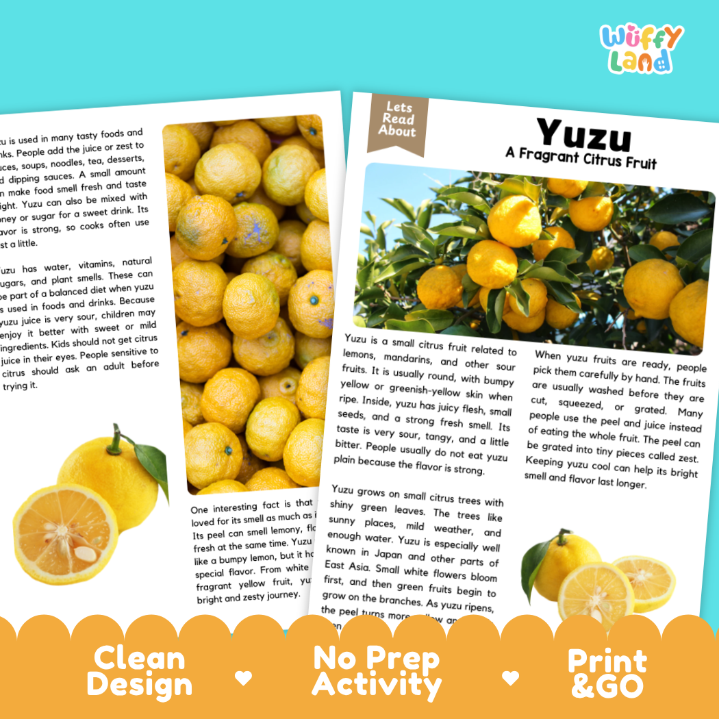 Teacher answer key page showing complete question solutions for yuzu reading comprehension practice