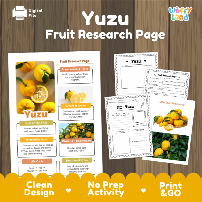 Digital product preview for a 'Yuzu Fruit Research Page' by Wiffy Land, showing a colorful printed page layout and several worksheet pages on a wood-textured background.