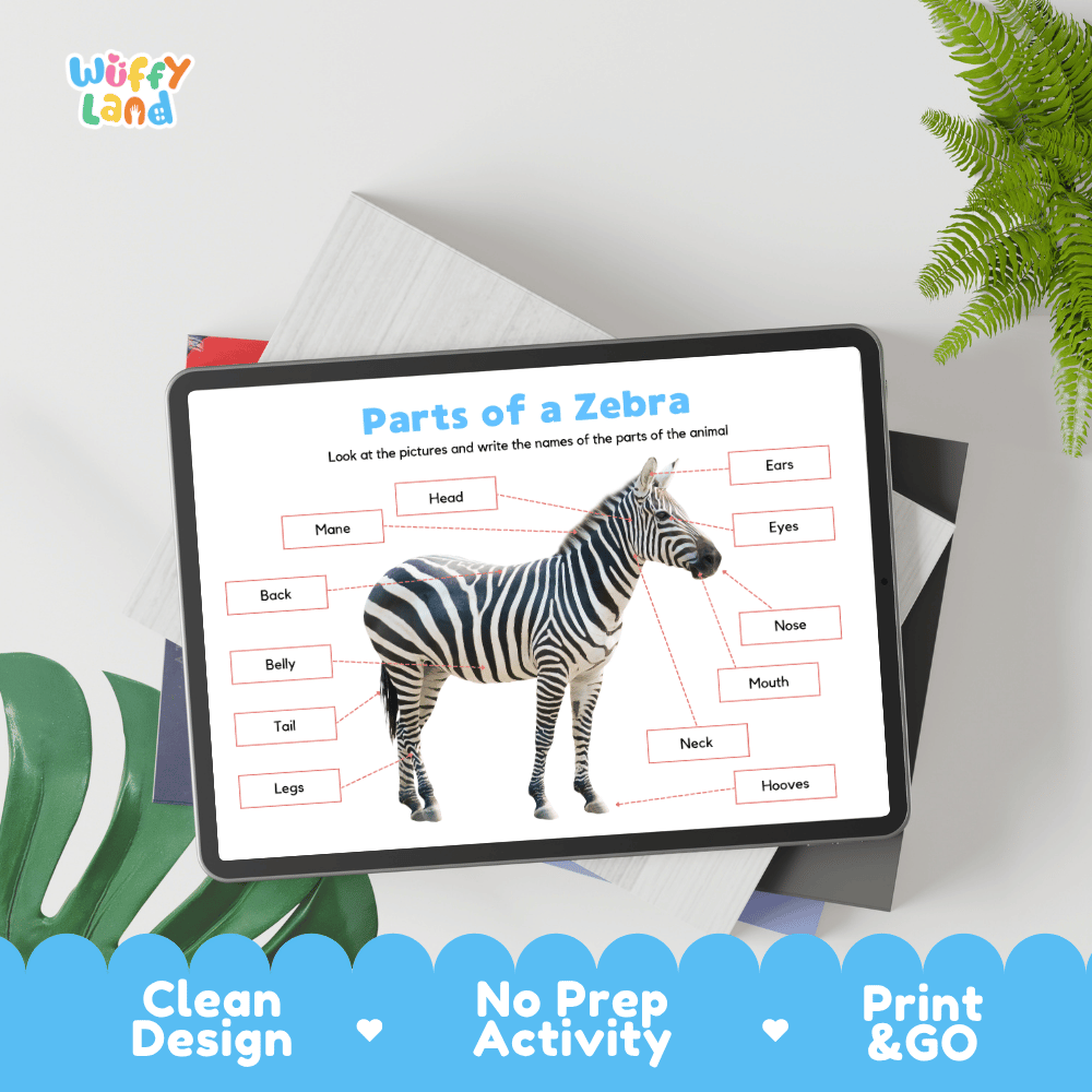 Hands-on zebra anatomy cut and paste worksheet with printable word tags, callout pointer lines, and scissors graphic