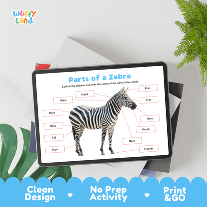 Hands-on zebra anatomy cut and paste worksheet with printable word tags, callout pointer lines, and scissors graphic
