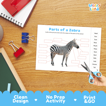 Differentiated zebra body parts labeling worksheets featuring fill-in write-in boxes and vocabulary word bank