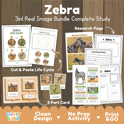 Zebra 3-in-1 real image bundle complete study cover showing cut and paste life cycle, 3 part cards, and research pages