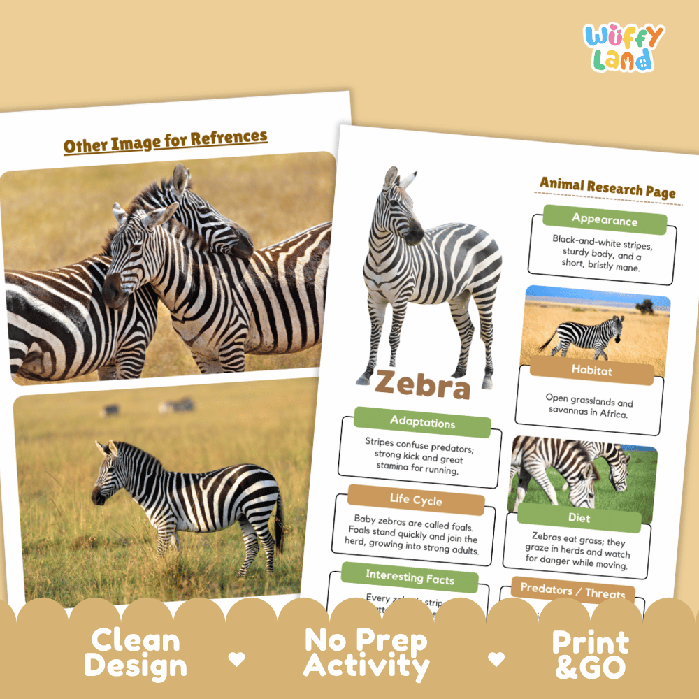 Educational activity sheet about zebras from the brand Wiffly Land, featuring a zebra illustration, habitat photos, and labeled sections on appearance, habitat, adaptations, life cycle, diet, and predators. The sheet is shown on a beige background with promotional text at the bottom.