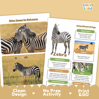 Educational activity sheet about zebras from the brand Wiffly Land, featuring a zebra illustration, habitat photos, and labeled sections on appearance, habitat, adaptations, life cycle, diet, and predators. The sheet is shown on a beige background with promotional text at the bottom.