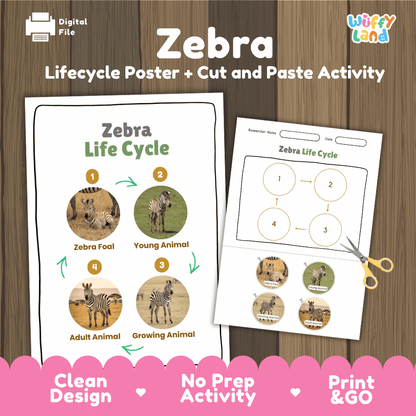 Zebra Life Cycle Poster and Cut and Paste Activity Worksheets