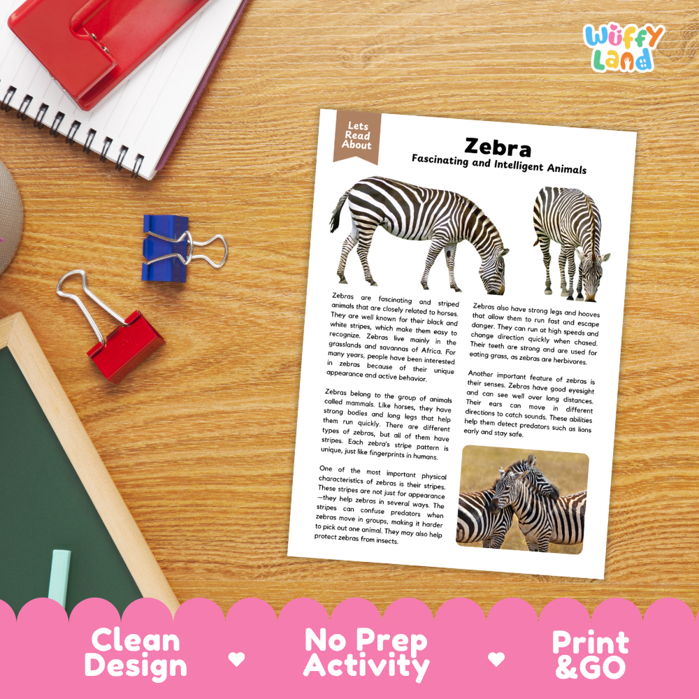 Zebra Reading Passage and Comprehension Questions Worksheets with Answer Key