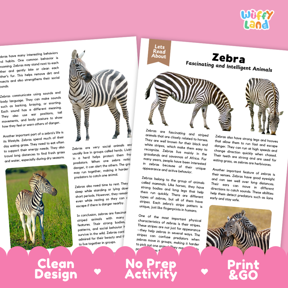 Zebra Reading Passage and Comprehension Questions Worksheets with Answer Key