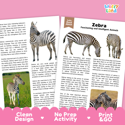 Zebra Reading Passage and Comprehension Questions Worksheets with Answer Key
