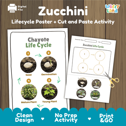 Zucchini plant life cycle educational printable pack cover showing visual reference poster and cut and paste sequencing worksheet with real photography