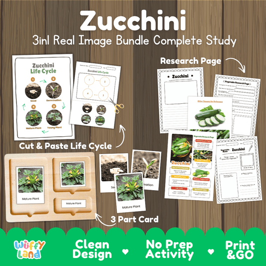 Zucchini plant 3in1 real image bundle complete study printable featuring life cycle cut and paste worksheets, Montessori 3-part cards, and research pages