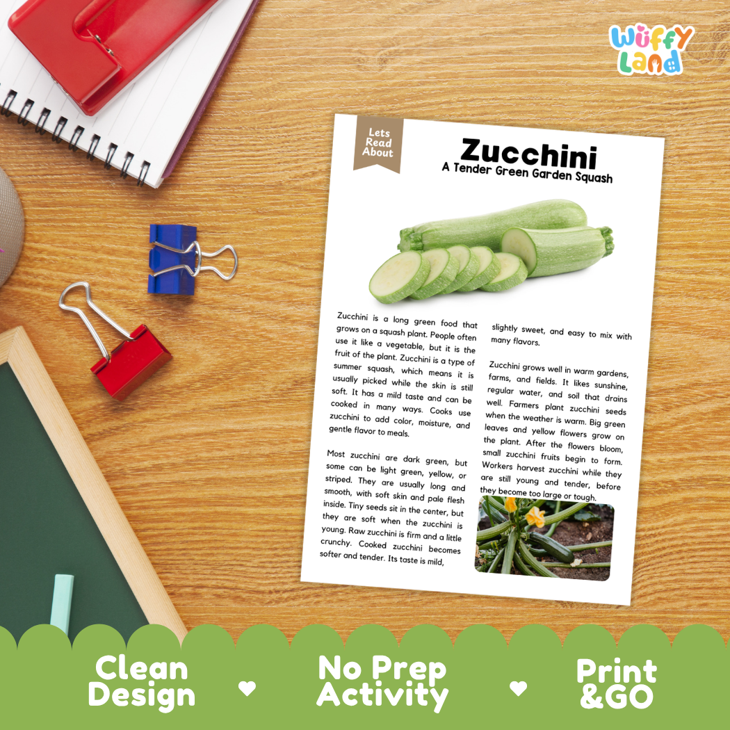 Student reading comprehension worksheet with short-answer questions and lined sections about zucchini vegetables