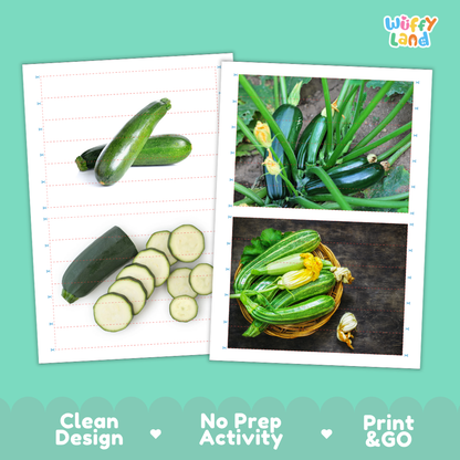 Printable activity sheets featuring photographic zucchini puzzle boards and cutting guides