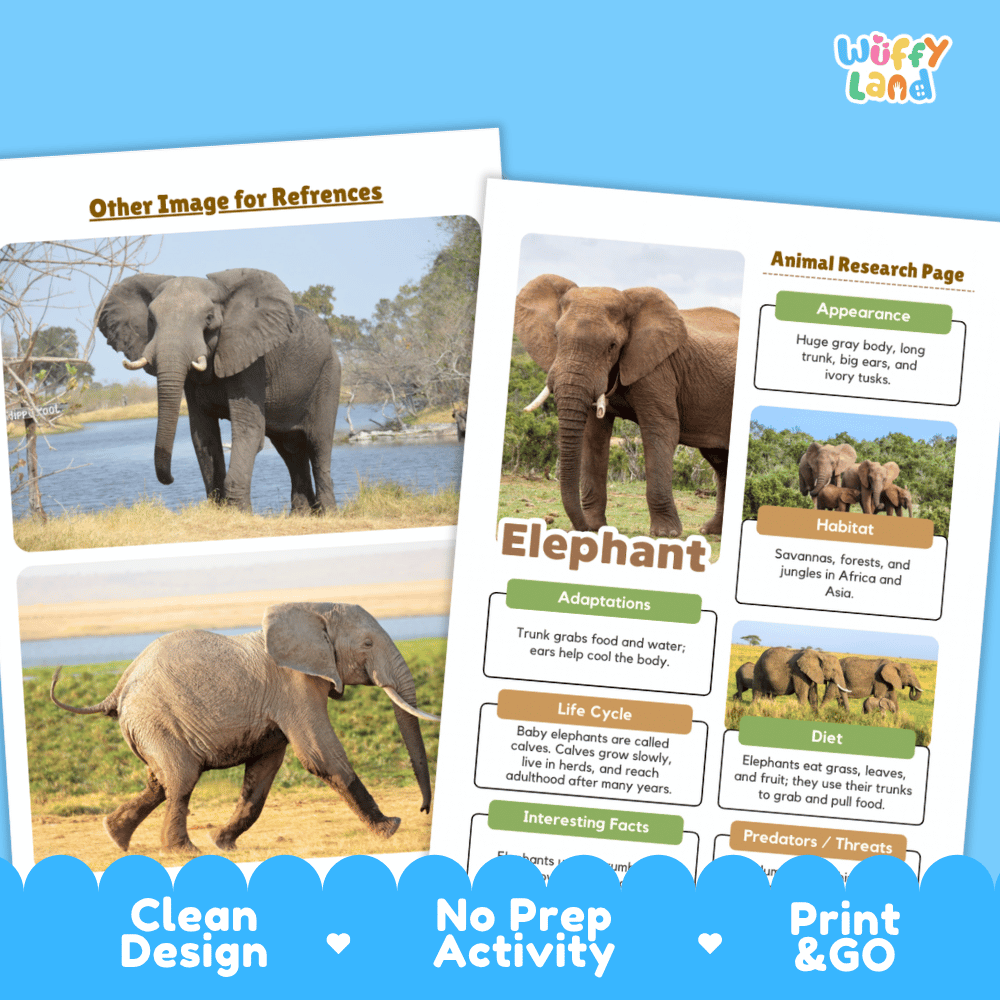 Elephant Animal Research Project | Informational Writing & Science Worksheets