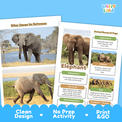 Elephant Animal Research Project | Informational Writing & Science Worksheets