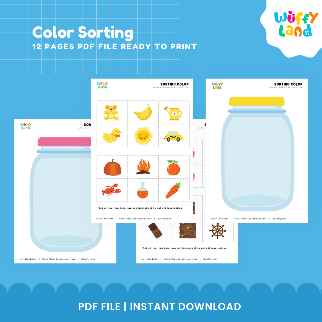 Preschool color matching and sorting worksheets with illustrated objects including toys, fruits, animals, and everyday items.