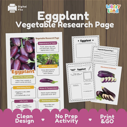 Eggplant Research Activity Worksheet Science Vegetable Aubergine Plant Life Cycle