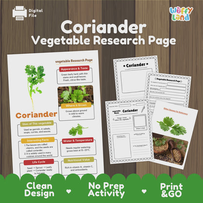 Coriander Research Activity Vegetable Science Worksheet Herb Garden Cilantro