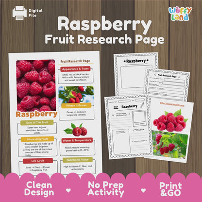 Raspberry Fruit Research Activity Worksheet Science Healthy Eating Summer