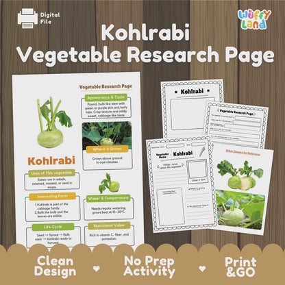 Kohlrabi Vegetable Research Page | Science Life Cycle & Nutrition Worksheet