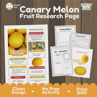 Canary Melon Science Activity | Fruit Research Project | Healthy Eating | Summer