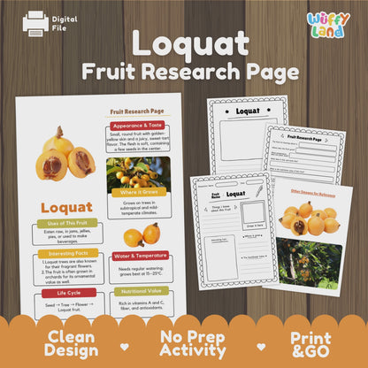 Loquat Fruit Research Project Science Worksheet Fact Sheet Activity Wuffyland