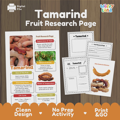 Tamarind Fruit Research Activity Worksheet Science Exotic Fruit Cultural Foods