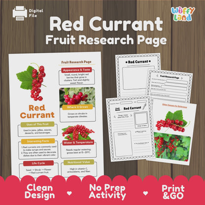 Red Currant Fruit Research Activity Worksheet Science Healthy Eating Berries