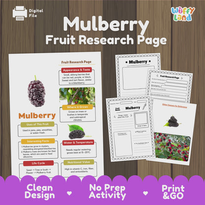 Mulberry Fruit Research Activity Worksheet Science Healthy Eating Plant Life Cycle