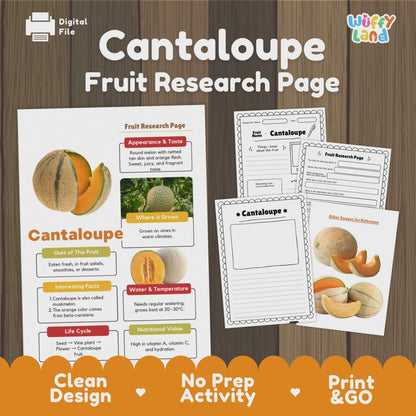Cantaloupe Fruit Research Page Worksheet Activity | Science Healthy Eating