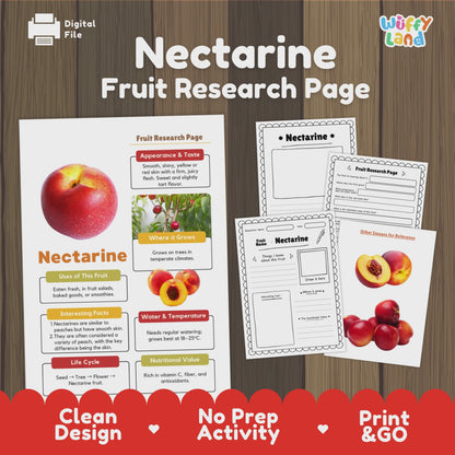 Nectarine Fruit Research Activity Worksheet Science Healthy Eating Summer