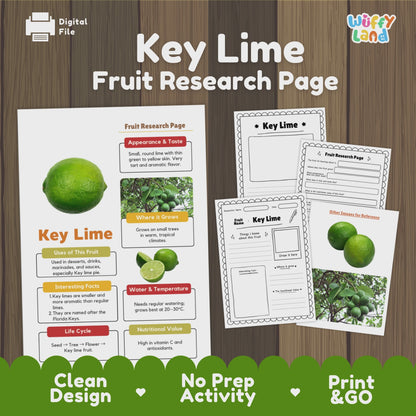 Key Lime Fruit Research Project Science Worksheet Fact Sheet Activity