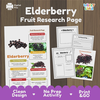 Elderberry Fruit Research Page Worksheet Activity | Science Healthy Eating