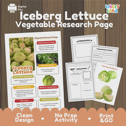 Iceberg Lettuce Research Activity Worksheet Science Vegetable Healthy Eating