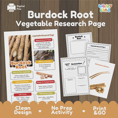 Burdock Root Gobo Vegetable Research Activity Worksheet Healthy Eating Japan