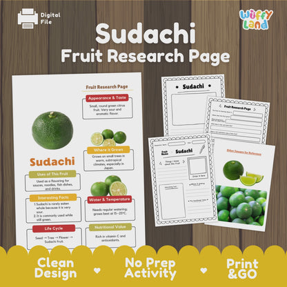 Sudachi Fruit Research Activity Worksheet Science Citrus Japan Healthy Eating
