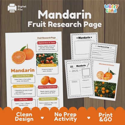 Mandarin Fruit Research Activity Worksheet Science Healthy Eating Lunar New Year