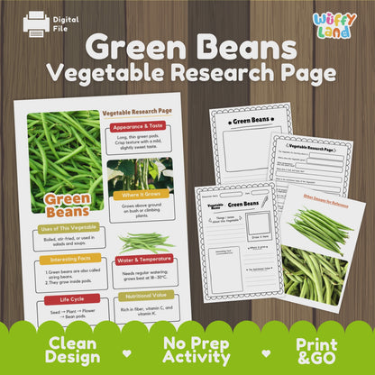 Green Beans Vegetable Research Activity Worksheet Science String Beans Gardening