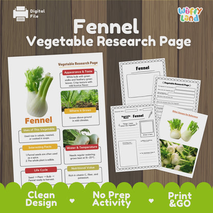 Fennel Vegetable Research Activity Worksheet Science Plant Parts Healthy Eating