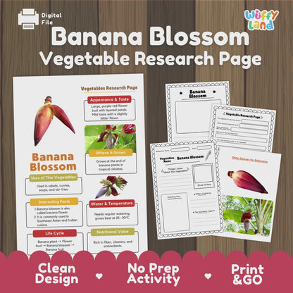 Banana Blossom Research Activity Worksheet Science Vegetable Edible Flower